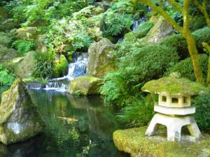 Pazifischer Nordwesten: Foto vom Japanischen Garten Portland