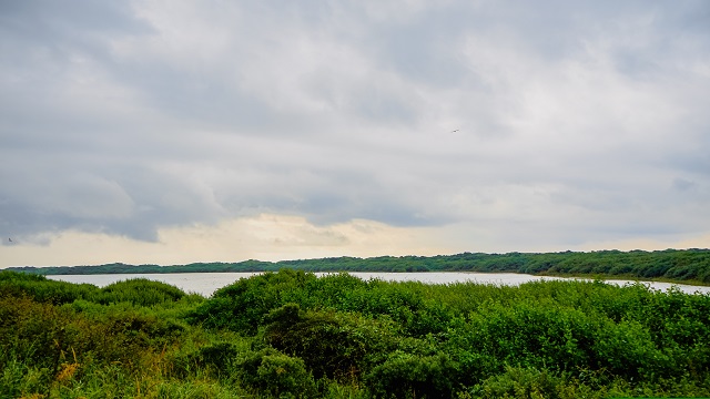 Insel Juist - der Hammersee von einem der Aussichtspunkte