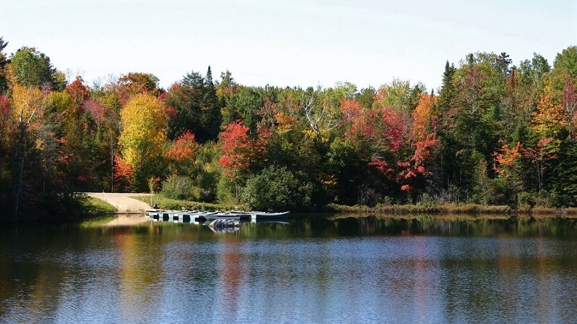 Indian Summer Kanada, Laubfärbung von Bäumen an einem See