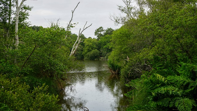 Médoc Atlantique Der Garten Eden im Südwesten Frankreichs Julias