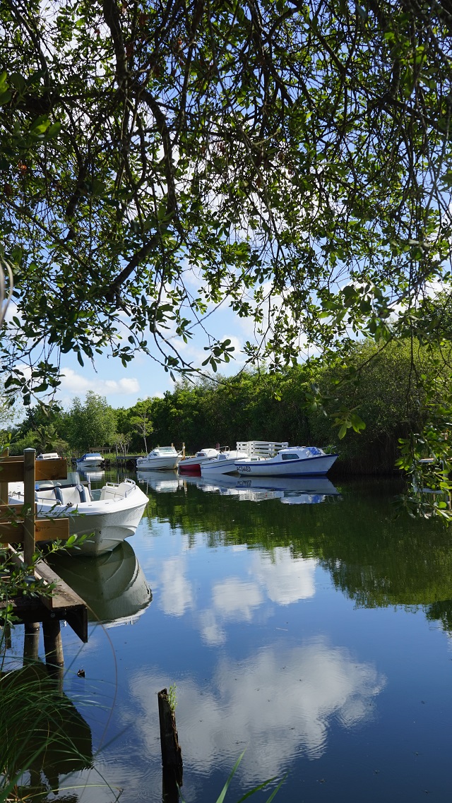 Médoc Atlantique Der Garten Eden im Südwesten Frankreichs Julias