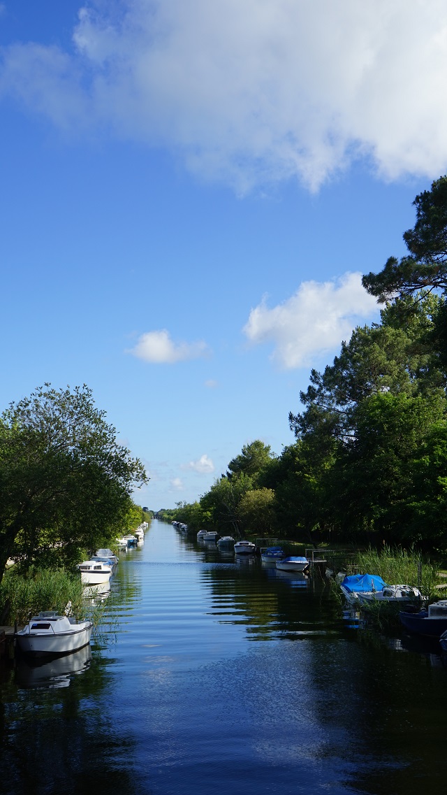 Médoc Atlantique Der Garten Eden im Südwesten Frankreichs Julias