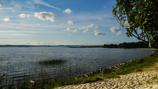 Médoc Frankreich: Blick auf den Lac d'Hourtin
