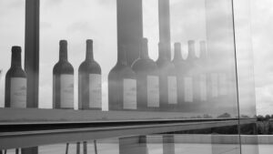 Médoc Atlantique Der Garten Eden im Südwesten Frankreichs Julias