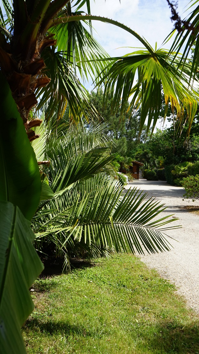 Médoc Atlantique Der Garten Eden im Südwesten Frankreichs Julias