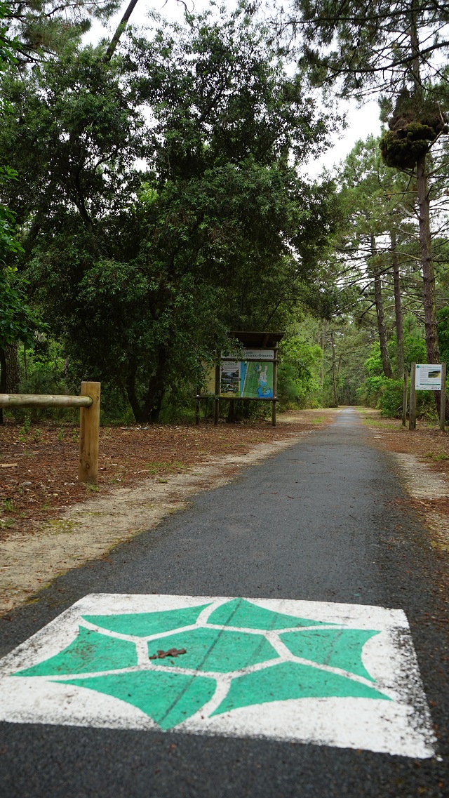 Médoc Atlantique Der Garten Eden im Südwesten Frankreichs Julias