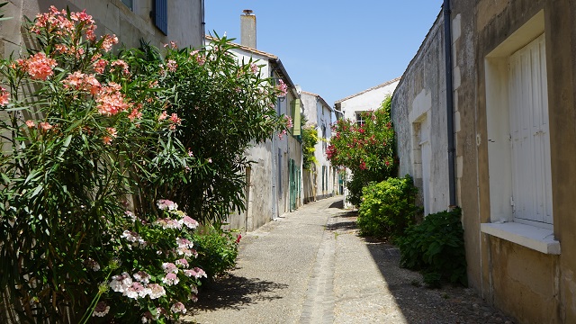 Ile de Re - Häusergasse in Saint-Martin-de-Ré.